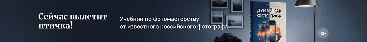 изображение Сейчас вылетит птичка!