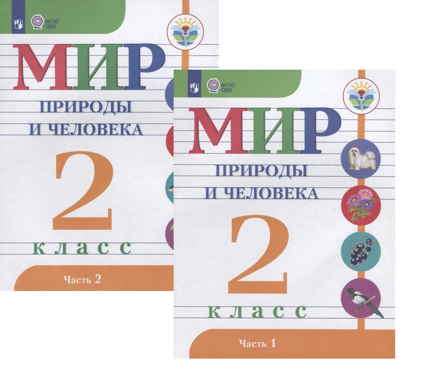 Мир природы и человека. 2 класс. В 2-х частях. Учебник для детей с интеллектуальными нарушениями (комплект из 2 книг)
Мир природы и человека. 2 класс. В 2-х частях. Учебник для детей с интеллектуальными нарушениями (комплект из 2 книг)
