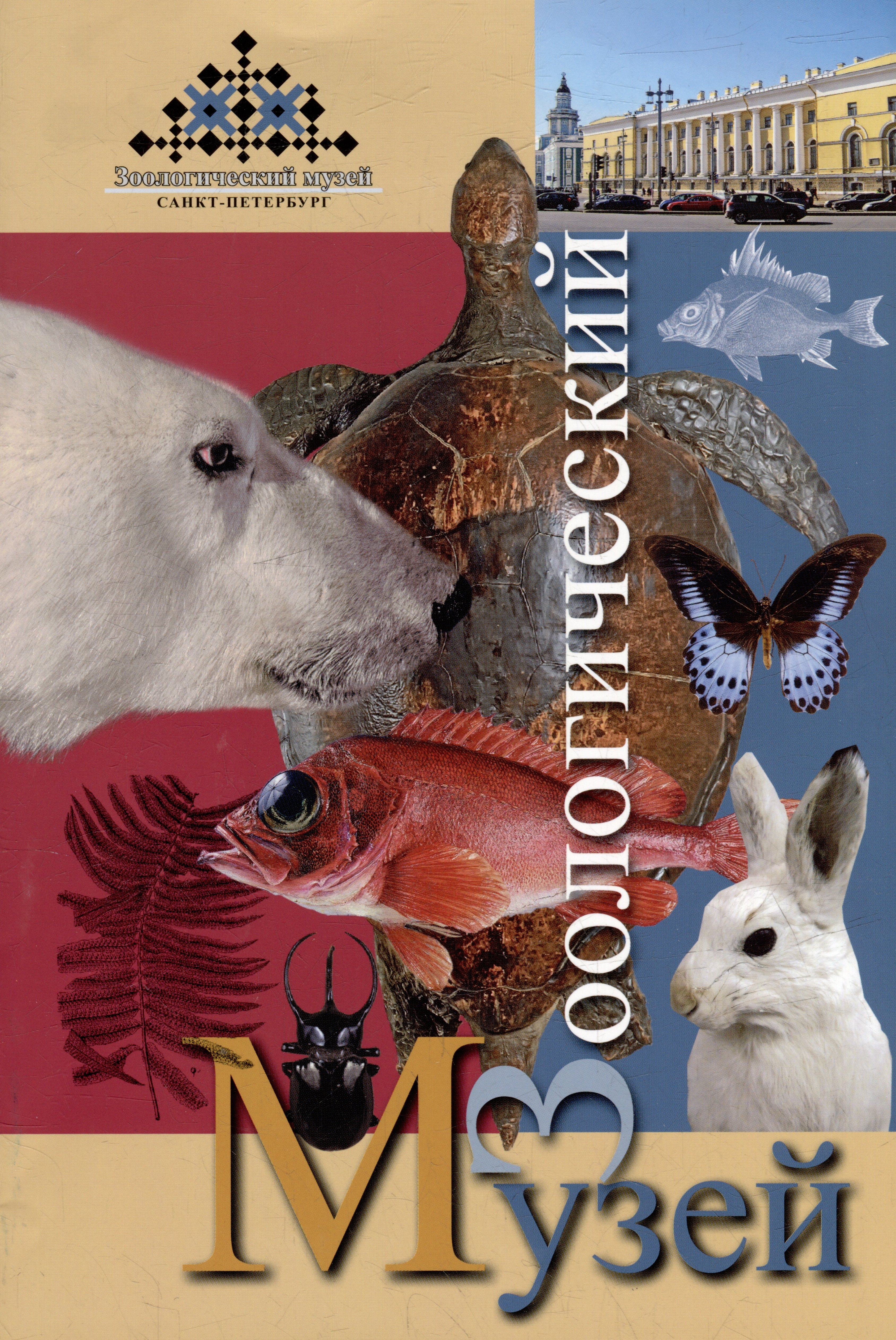 Мини буклет "Зоологический музей"
Мини буклет "Зоологический музей"