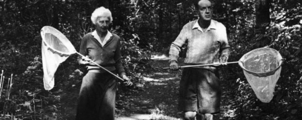 Владимир Набоков за любимым занятием.