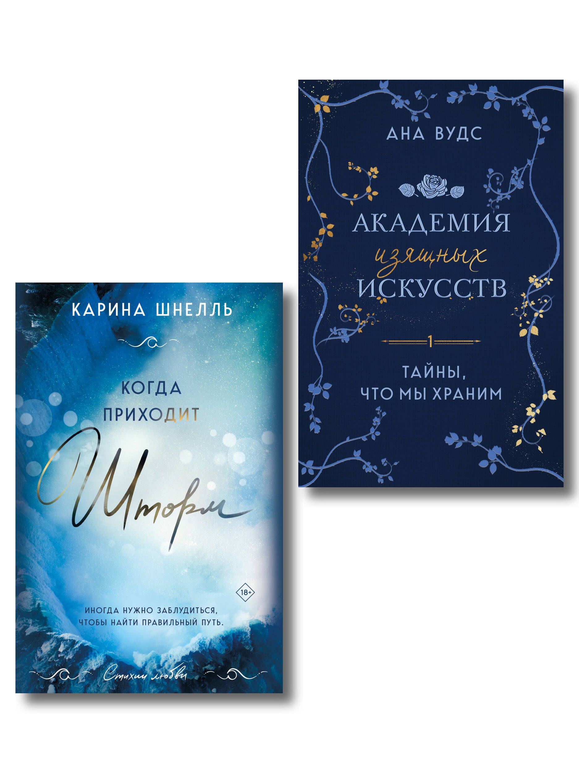 Комплект из 2-х книг: "Тайны, что мы храним"," Когда приходит шторм"