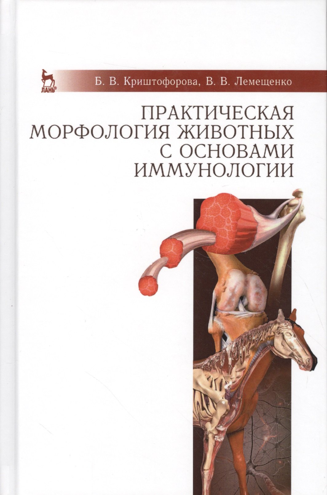 Практическая морфология животных с основами иммунологии: Учебно-методическое пособие
Практическая морфология животных с основами иммунологии: Учебно-методическое пособие