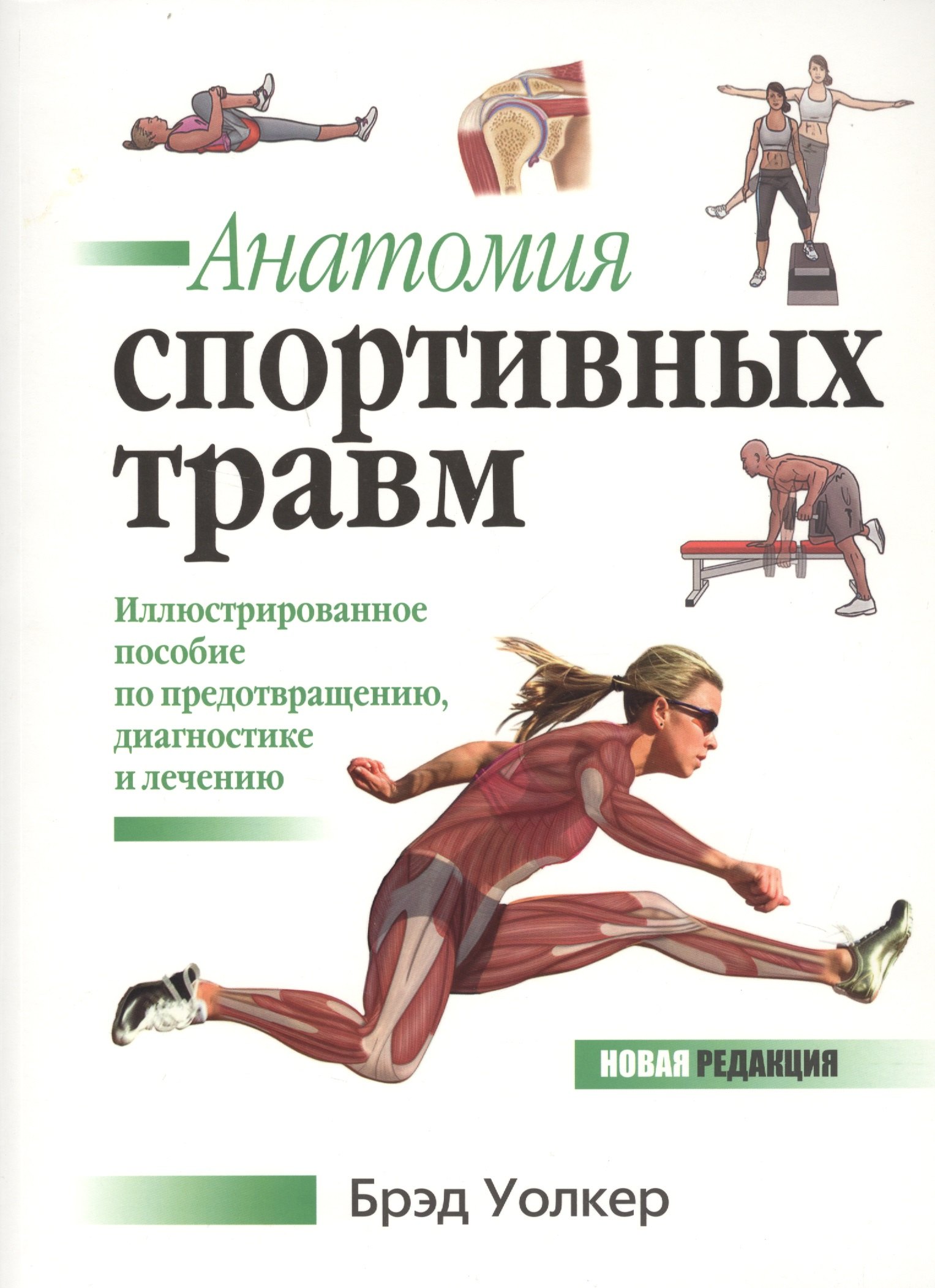 Анатомия спортивных травм. Иллюстрированное пособие по предотвращению, диагностике и лечению
Анатомия спортивных травм. Иллюстрированное пособие по предотвращению, диагностике и лечению