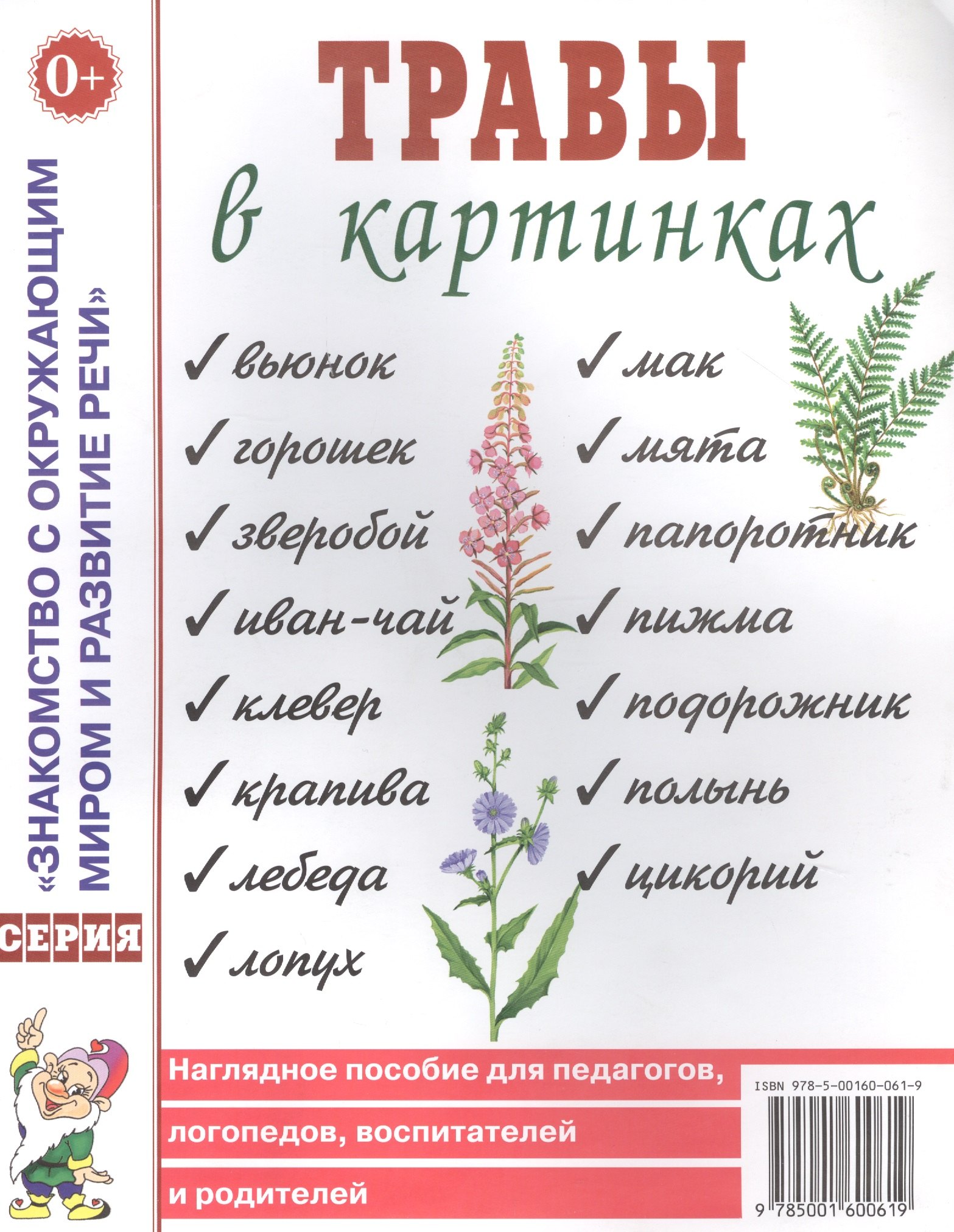 Травы в картинках. Наглядное пособие для логопедов, педагогов, воспитателей и родителей
Травы в картинках. Наглядное пособие для логопедов, педагогов, воспитателей и родителей