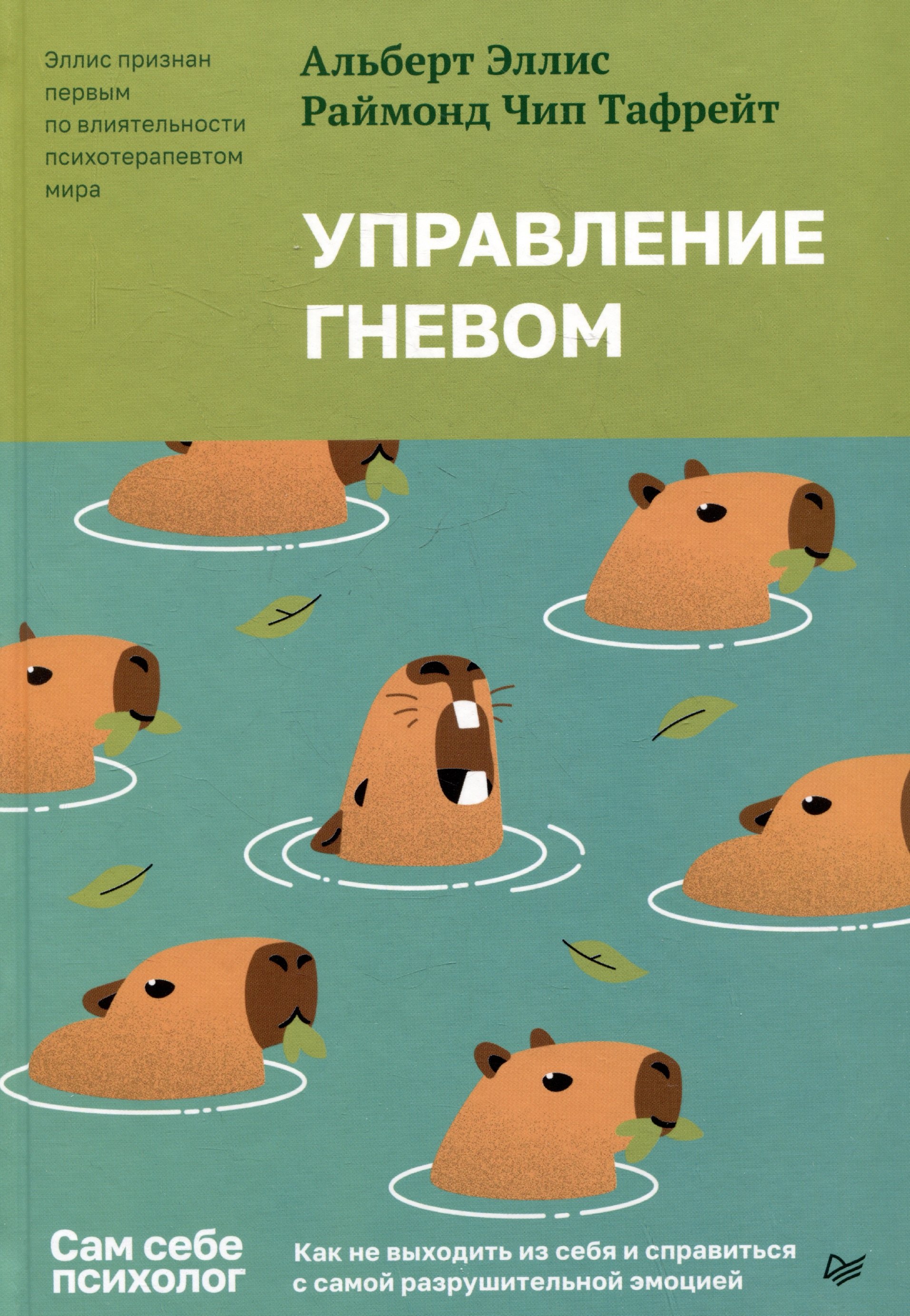 Управление гневом. Как не выходить из себя и справиться с самой разрушительной эмоцией