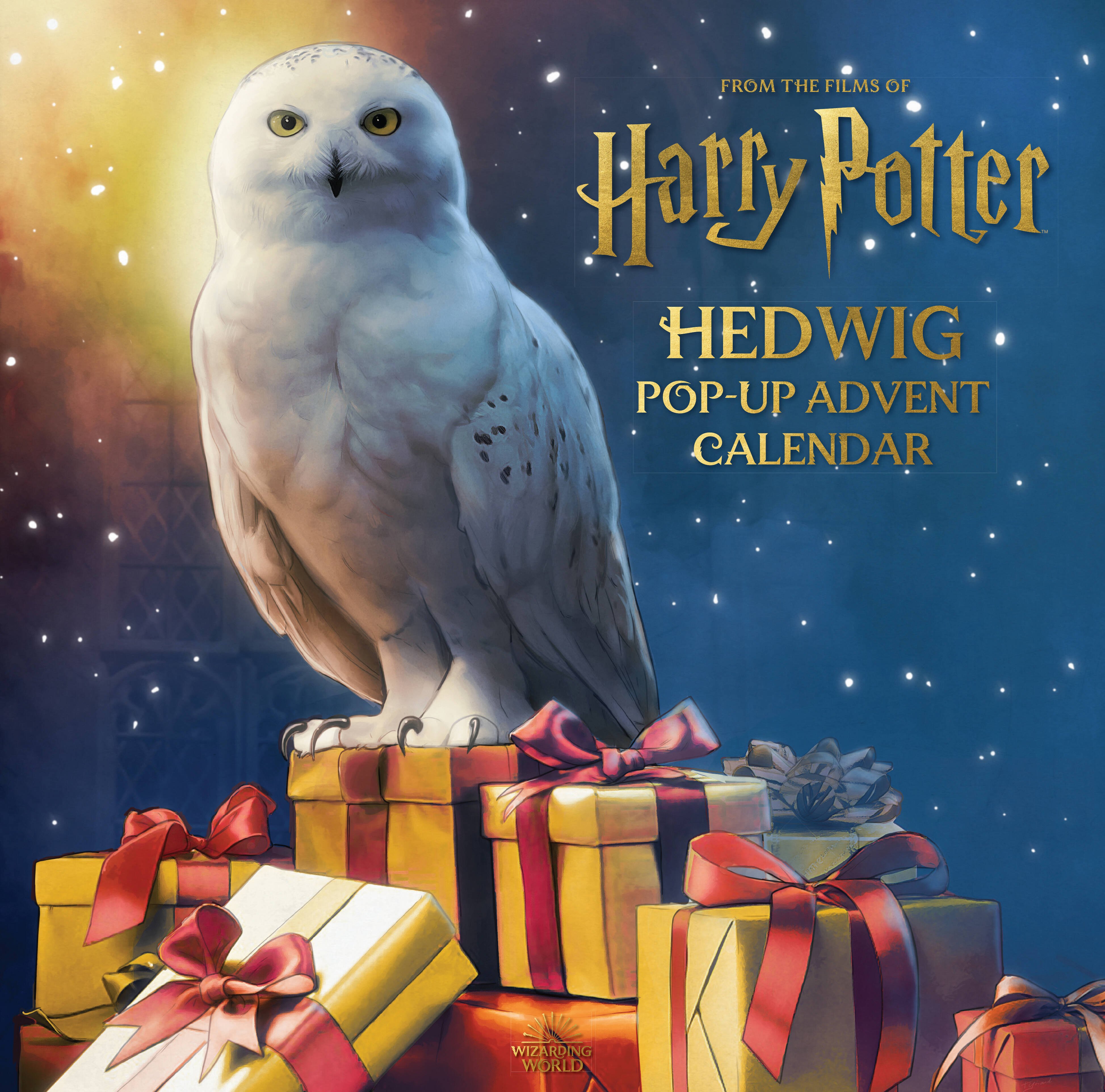 Harry Potter: Hedwig Pop-up Advent Calendar (Reinhart Matthew) Гарри Поттер Хедвиг Pop-up адвент календарь/ Книги на английском языке
Harry Potter: Hedwig Pop-up Advent Calendar (Reinhart Matthew) Гарри Поттер Хедвиг Pop-up адвент календарь/ Книги на английском языке