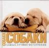 Собаки. Самые лучшие фотографии
Собаки. Самые лучшие фотографии