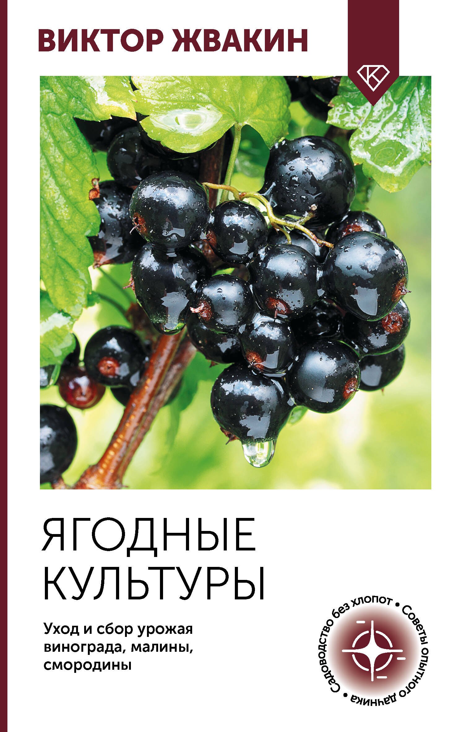 Ягодные культуры. Уход и сбор урожая винограда, малины, смородины
Ягодные культуры. Уход и сбор урожая винограда, малины, смородины