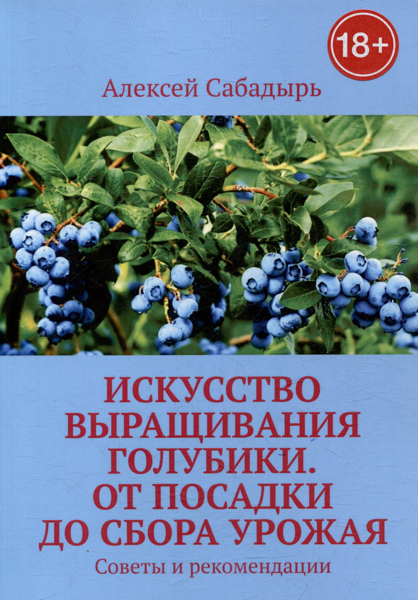 Искусство выращивания голубики. От посадки до сбора урожая. Советы и рекомендации