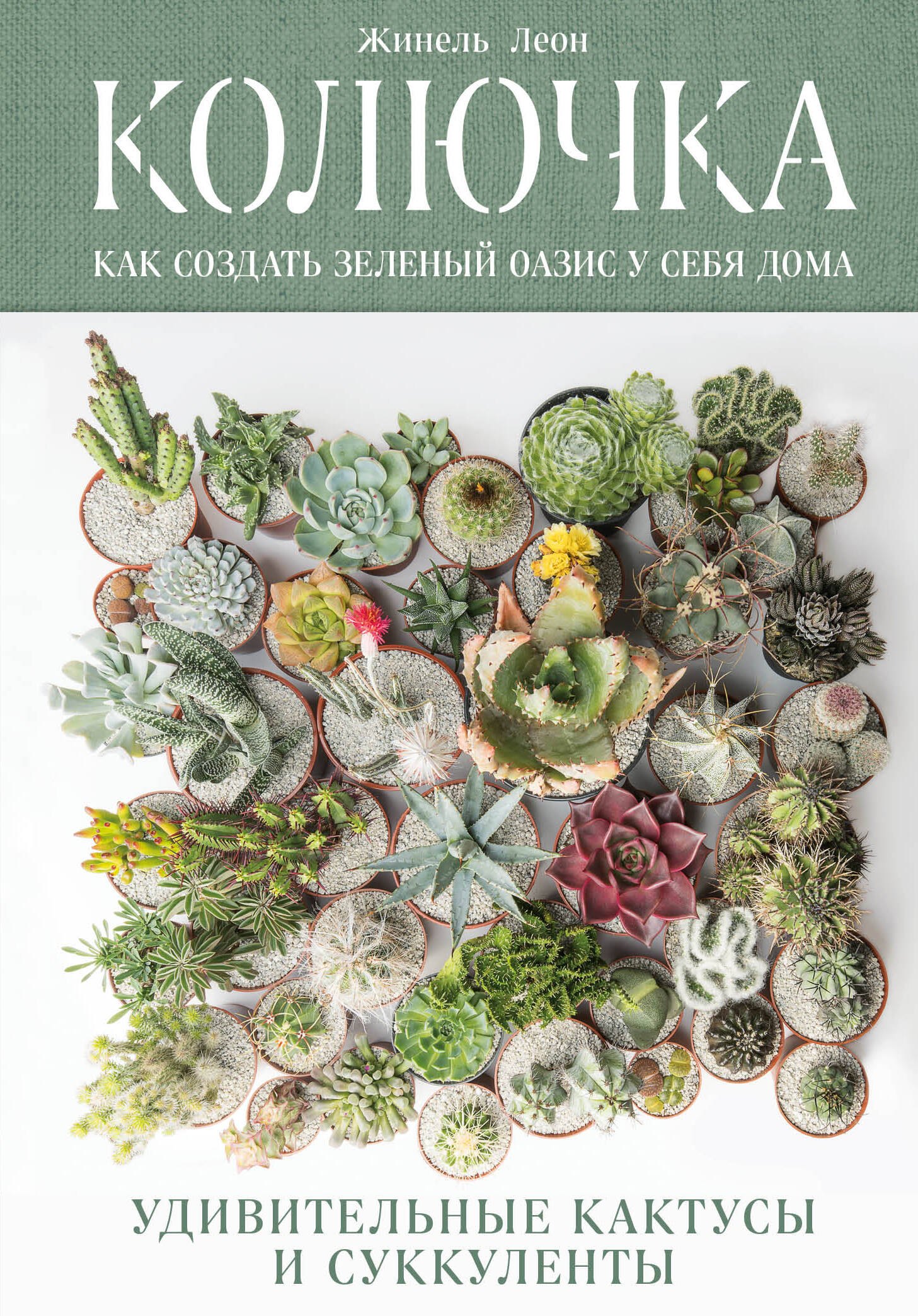 Колючка: как создать зеленый оазис у себя дома. Удивительные кактусы и суккуленты
Колючка: как создать зеленый оазис у себя дома. Удивительные кактусы и суккуленты