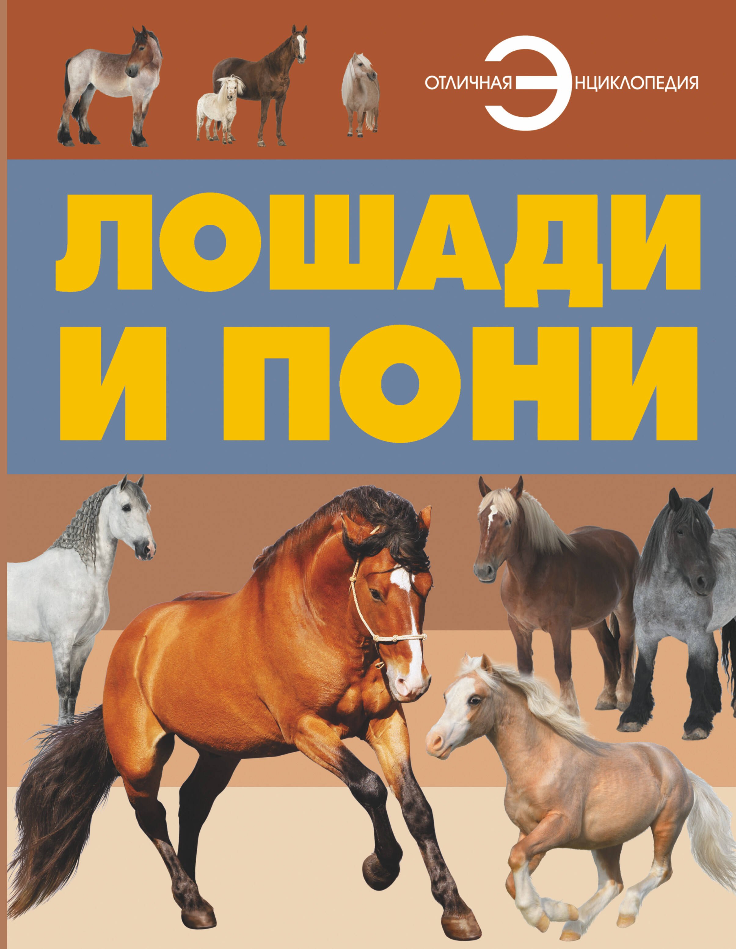 Лошади и пони 
Лошади и пони
