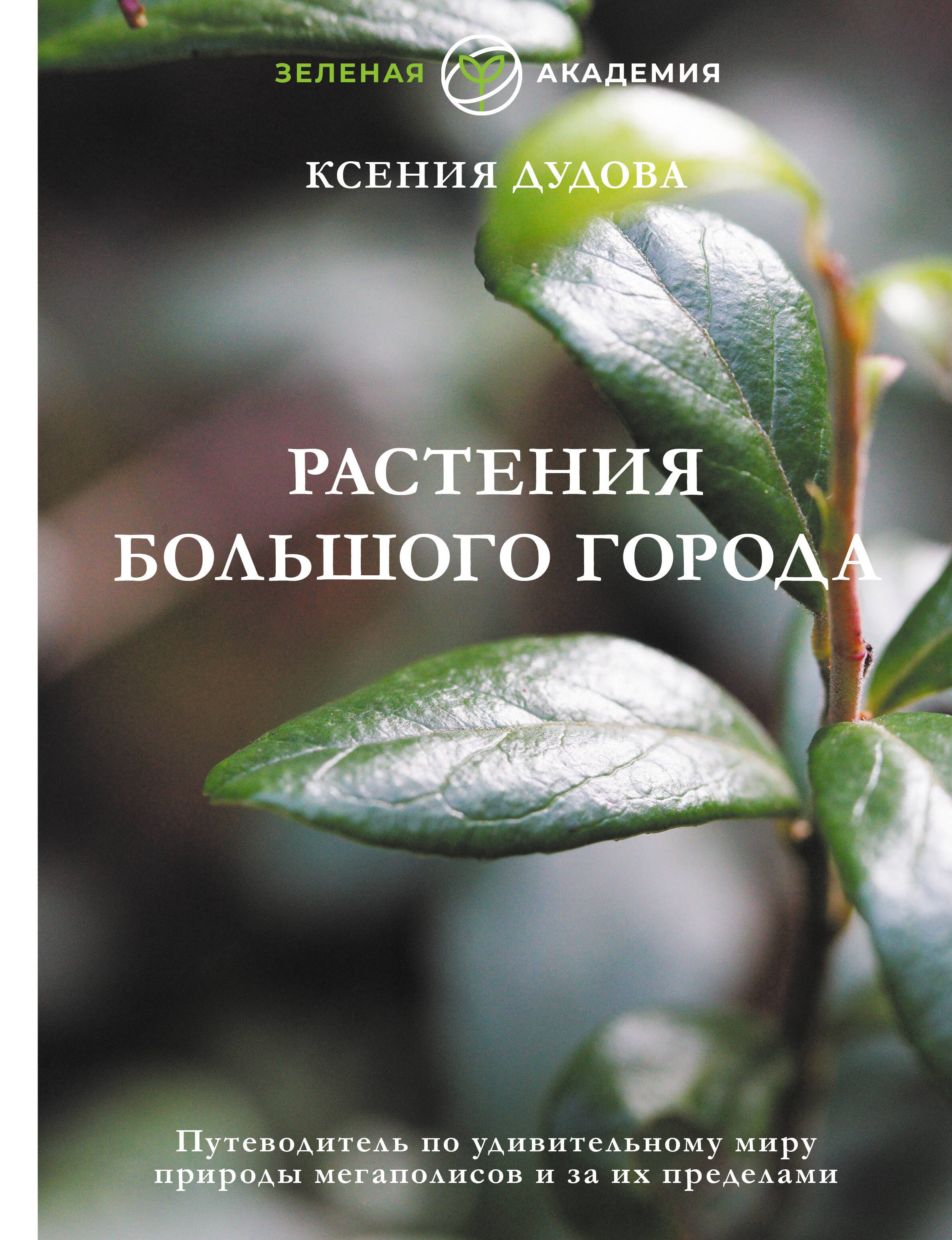 Джунгли большого города. Ботаника для неофитов