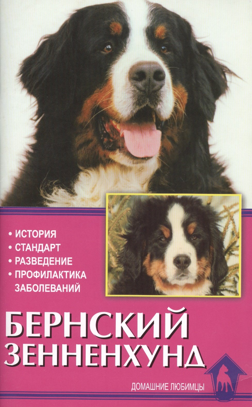 Бернский зенненхунд. История. Стандарты. Разведение. Профилактика заболеваний