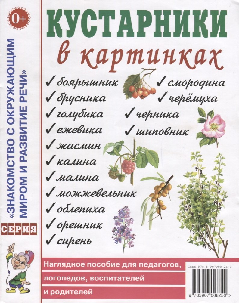Кустарники в картинках. Наглядное пособие для педагогов, логопедов, воспитателей и родителей
Кустарники в картинках. Наглядное пособие для педагогов, логопедов, воспитателей и родителей