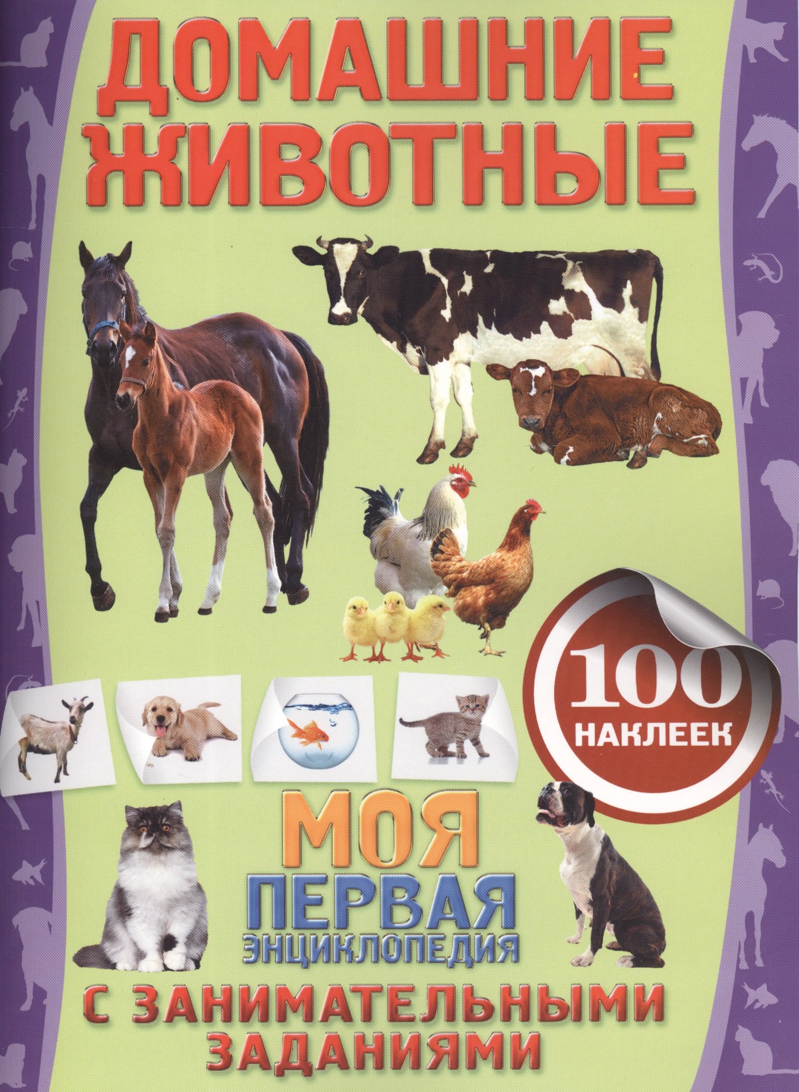 Домашние животные
Домашние животные