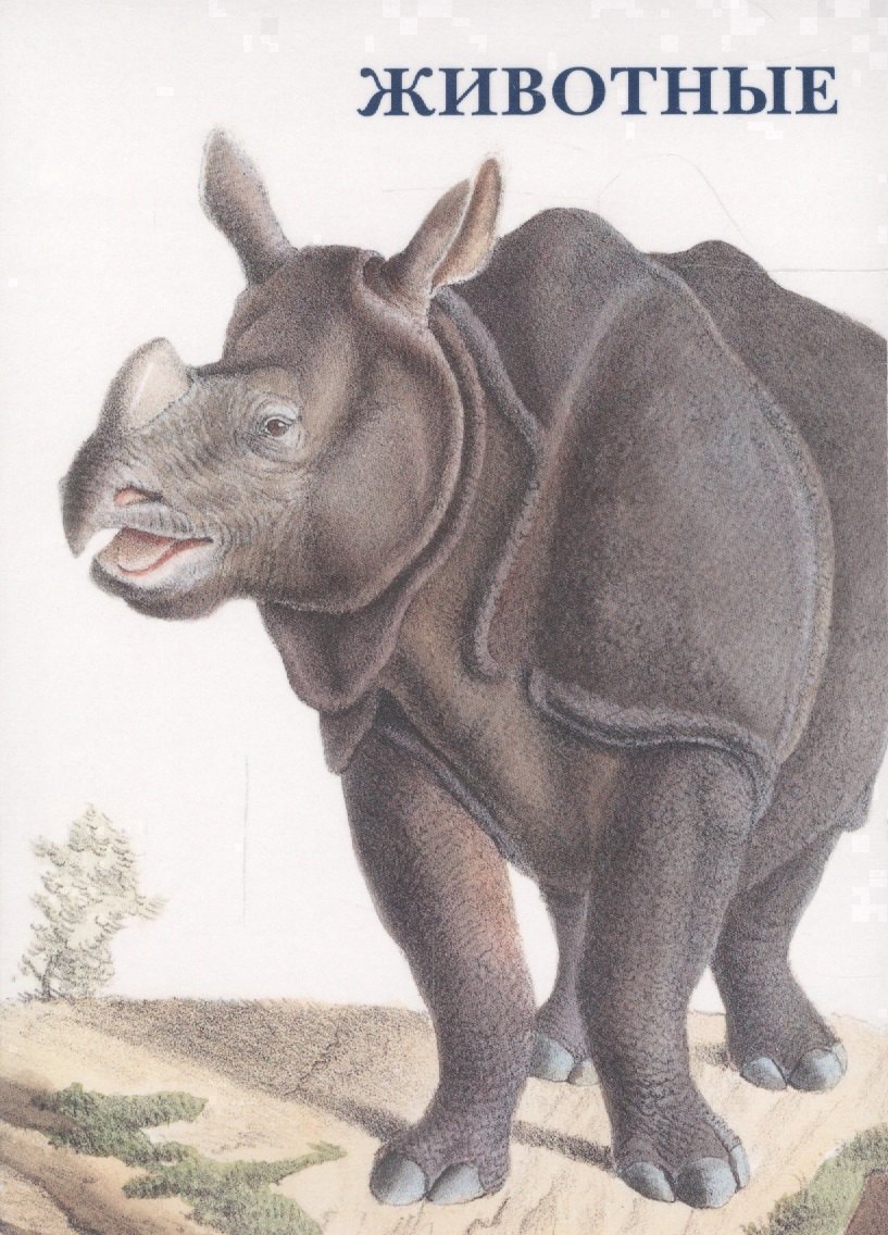 Животные. Набор открыток
Животные. Набор открыток