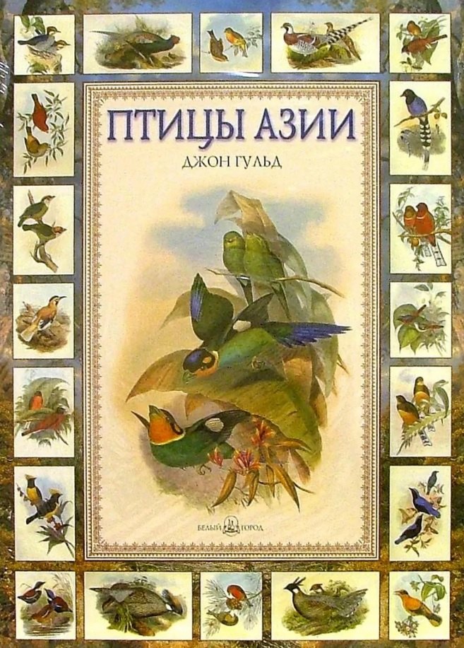 Птицы Азии