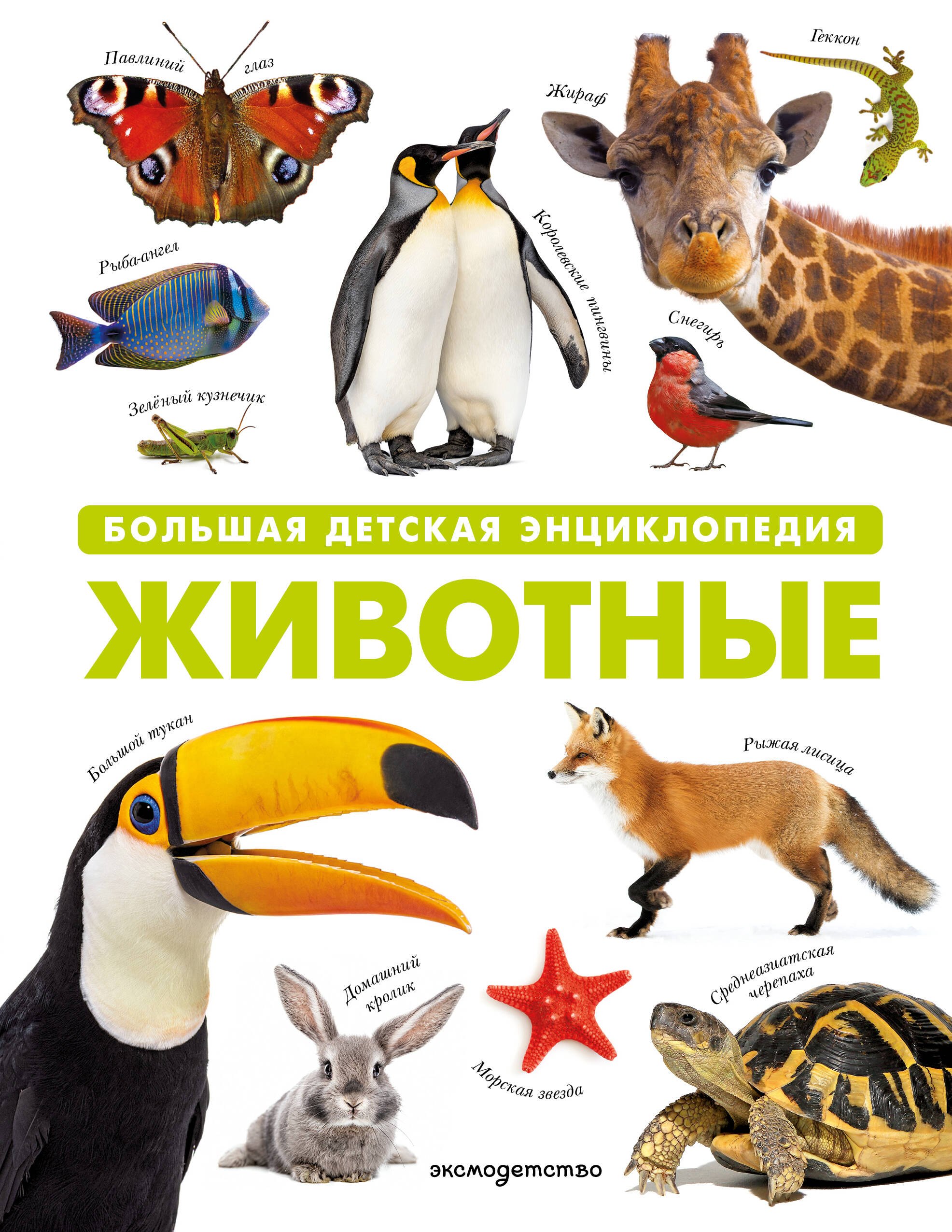 Животные. Большая детская энциклопедия
Животные. Большая детская энциклопедия