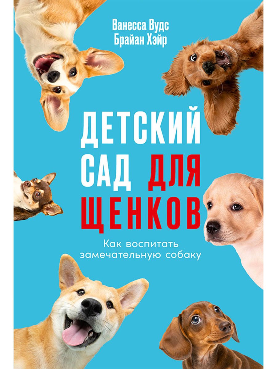Детский сад для щенков: Как воспитать замечательную собаку
Детский сад для щенков: Как воспитать замечательную собаку