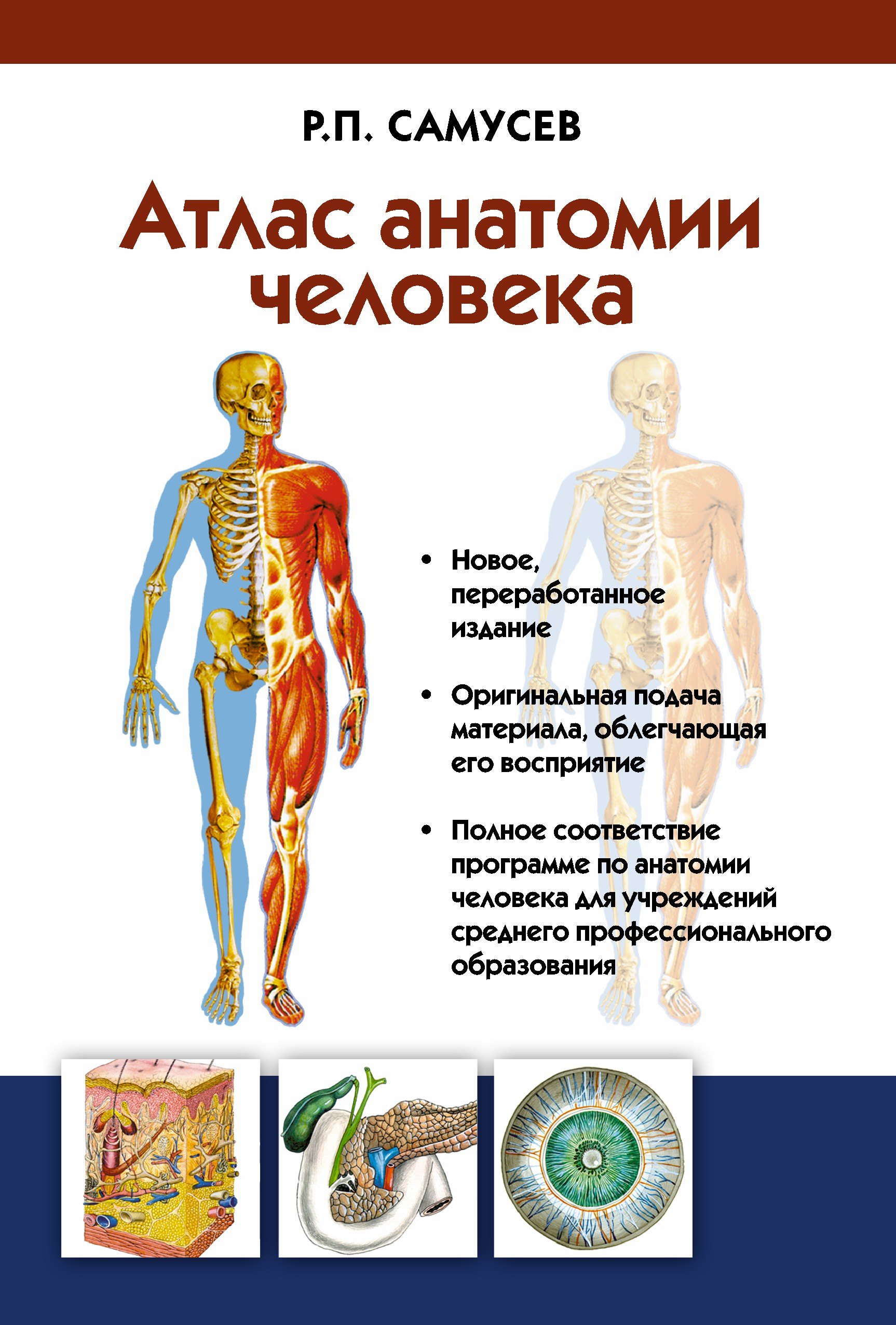 Атлас анатомии человека: учебное пособие для студентов учреждений среднего профессионального образования. 7 -е изд.
Атлас анатомии человека: учебное пособие для студентов учреждений среднего профессионального образования. 7 -е изд.