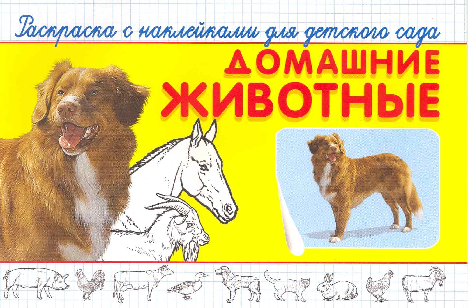Раскраска с наклейками для детского сада Домашние животные / (мягк) (СуперРаскраска). Савельев Е. (Омега)
Раскраска с наклейками для детского сада Домашние животные / (мягк) (СуперРаскраска). Савельев Е. (Омега)