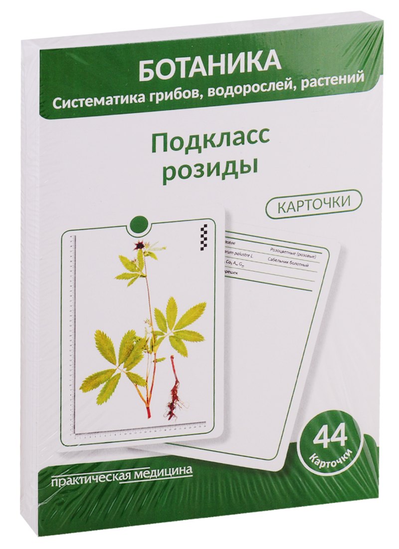 Ботаника. Систематика грибов, водорослей, растений. Подкласс розиды. 44 карточки
Ботаника. Систематика грибов, водорослей, растений. Подкласс розиды. 44 карточки