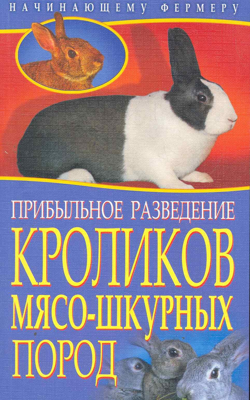 Прибыльное разведение кроликов мясо-шкурных пород / (мягк) (Начинающему фермеру). Малай С. (Рипол-В)
Прибыльное разведение кроликов мясо-шкурных пород / (мягк) (Начинающему фермеру). Малай С. (Рипол-В)