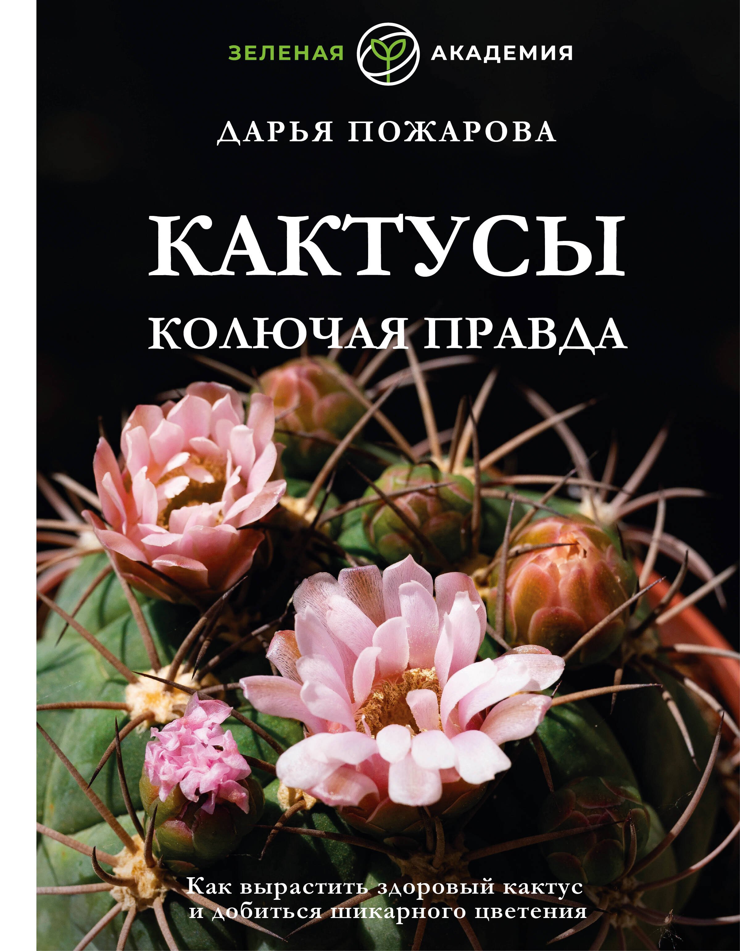 Кактусы. Колючая правда