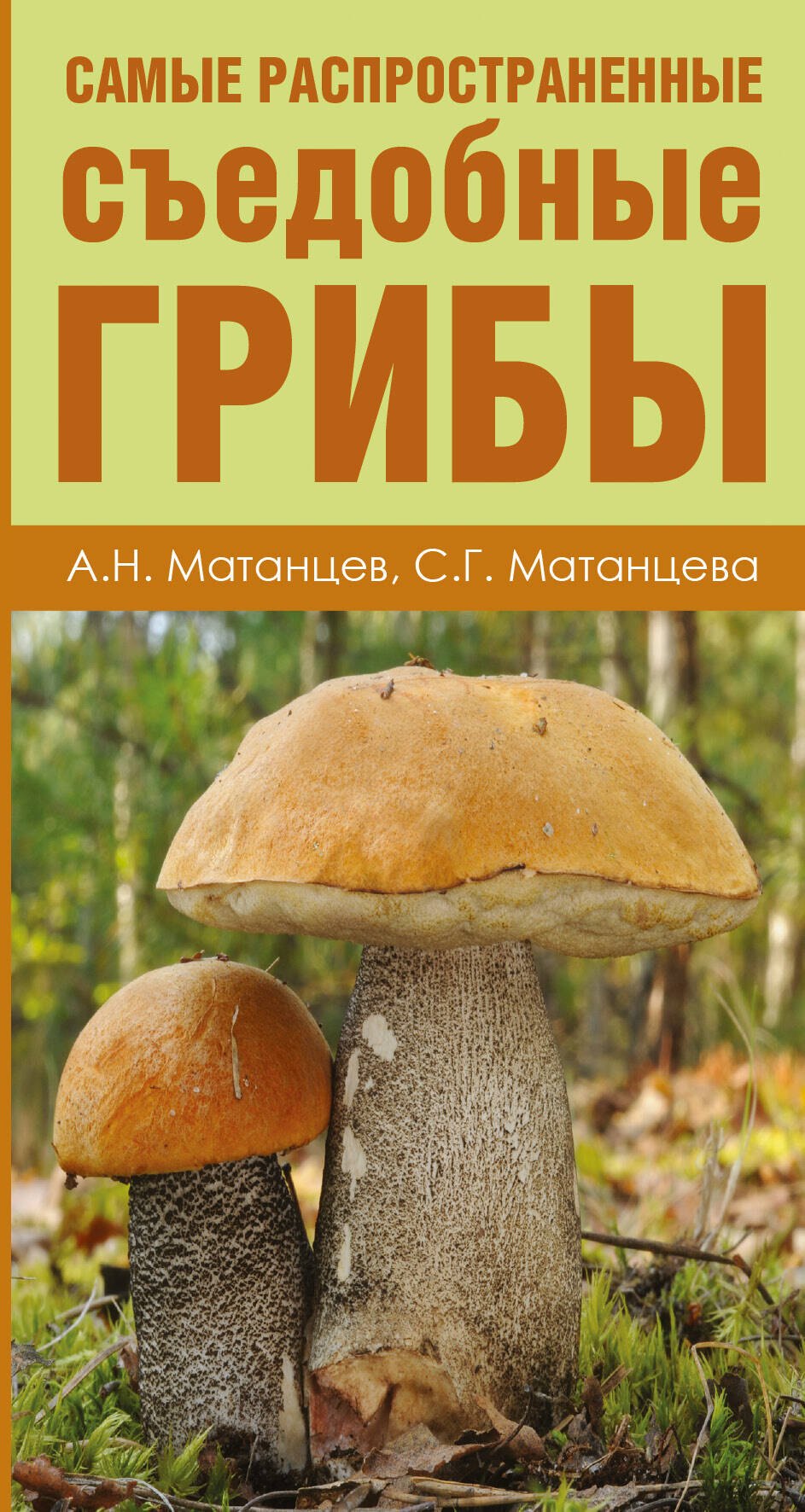 Грибы. Карманный атлас-определитель(1) = Самые распространенные съедобные грибы(2). (Оформление: 2)
Грибы. Карманный атлас-определитель(1) = Самые распространенные съедобные грибы(2). (Оформление: 2)
