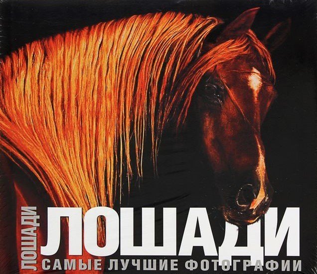 Лошади. Самые лучшие фотографии: Альбом
Лошади. Самые лучшие фотографии: Альбом