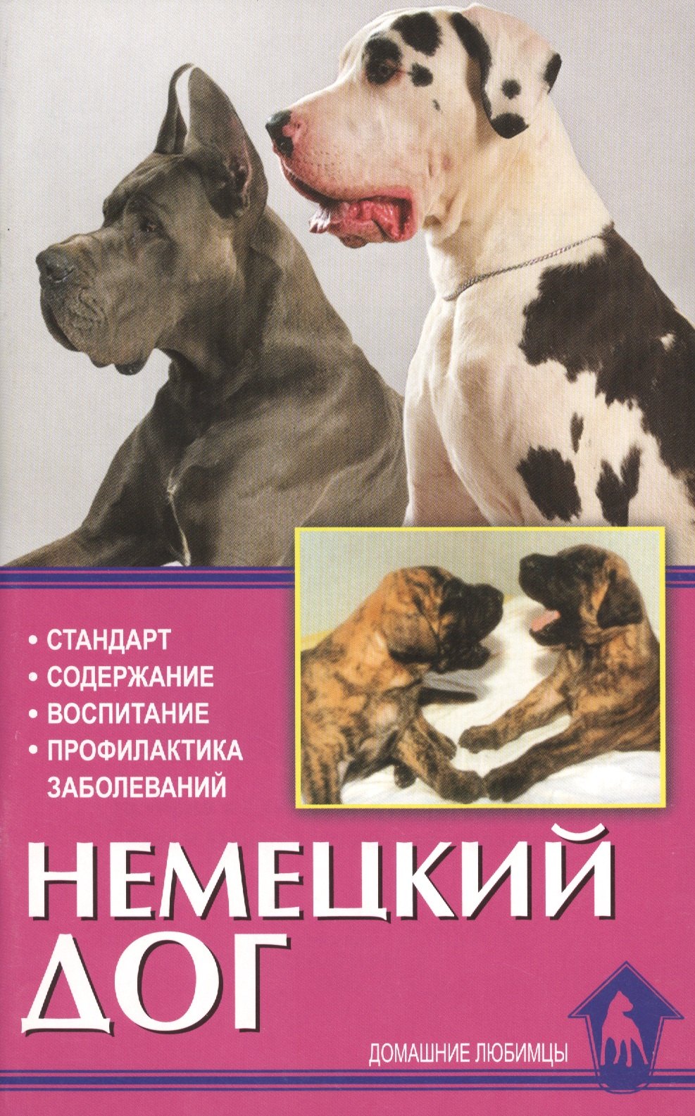 Немецкий дог: История, стандарт, выращивание, уход, профилактика заболеваний
Немецкий дог: История, стандарт, выращивание, уход, профилактика заболеваний