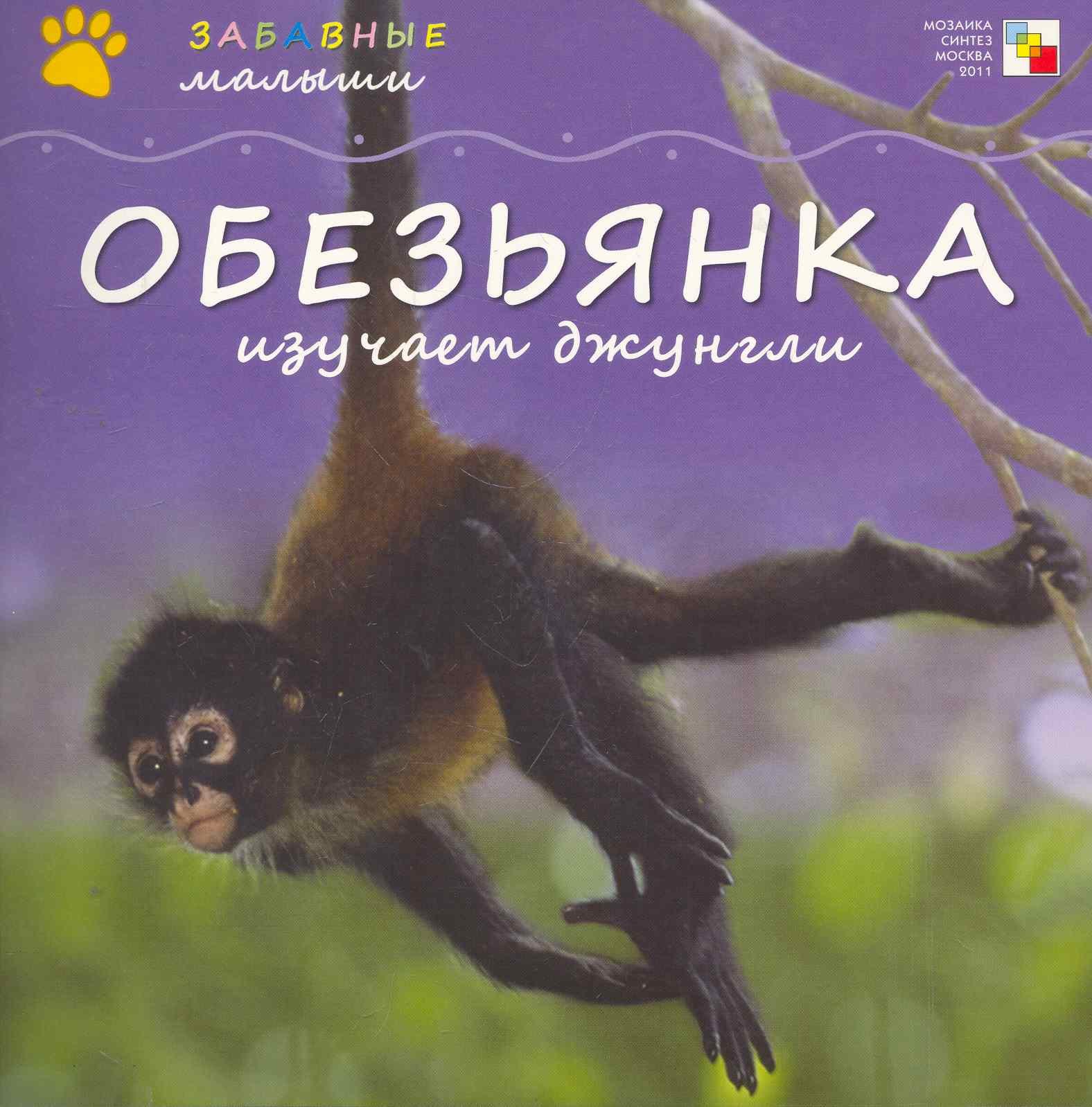 Обезьянка изучает джунгли / (мягк) (Забавные малыши). Бурмистрова Л. (Мозаика)
Обезьянка изучает джунгли / (мягк) (Забавные малыши). Бурмистрова Л. (Мозаика)