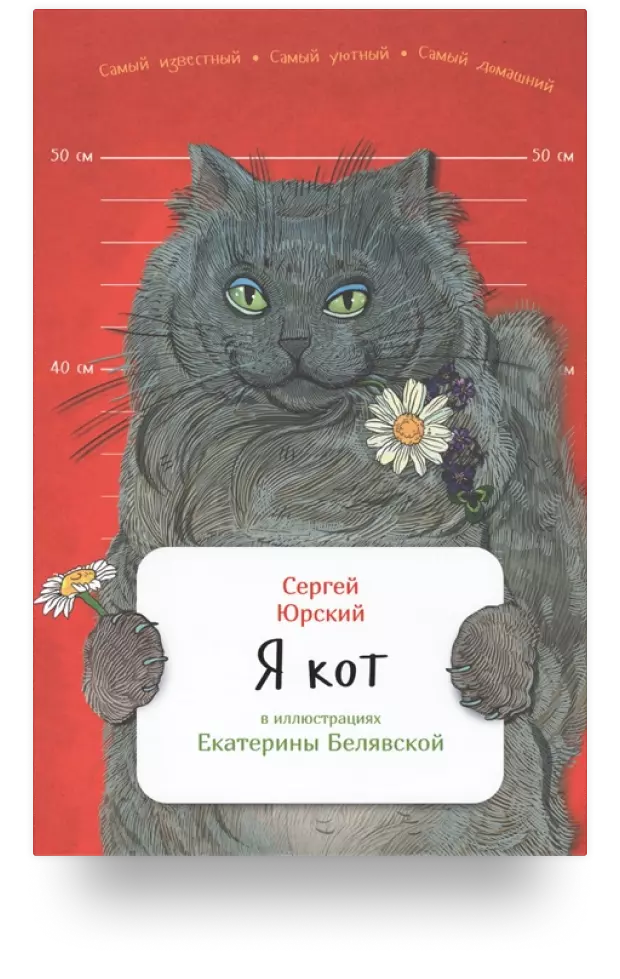 Я кот