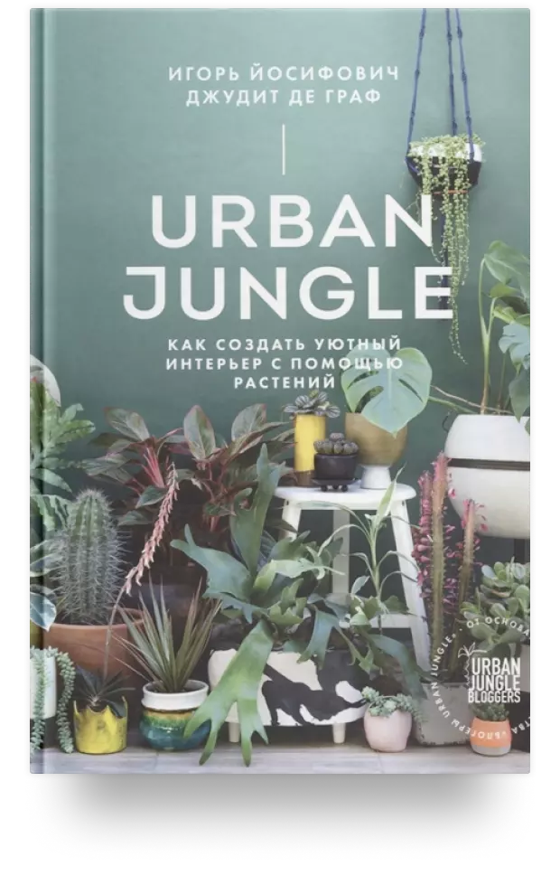 Urban Jungle. Как создать уютный интерьер с помощью растений