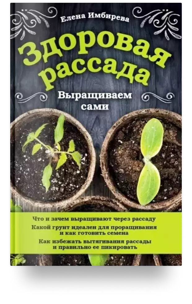 Здоровая рассада. Выращиваем сами