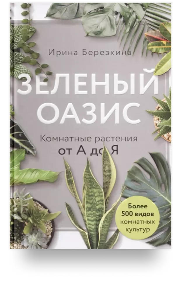 Новая жизнь старых книг. Необычные цветочные горшочки от Gartenkultur