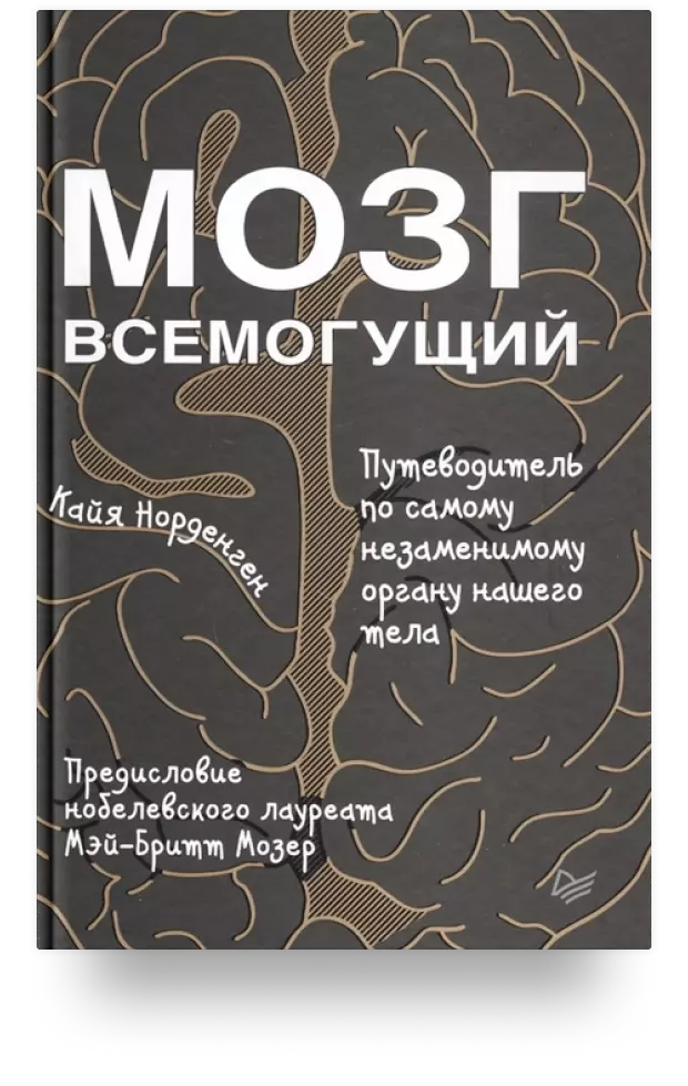 Мозг всемогущий. Путеводитель по самому незаменимому органу нашего тела