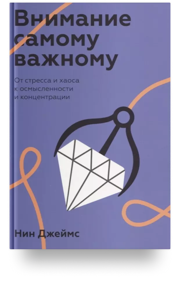 Внимание самому важному. От стресса и хаоса к осмысленности и концентрации