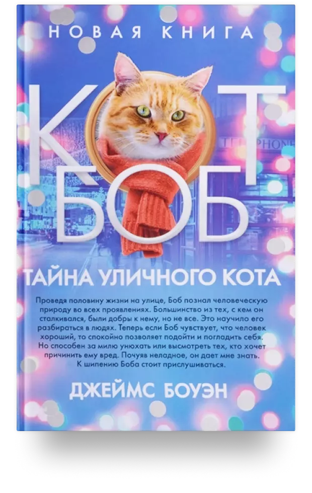 Тайна уличного кота