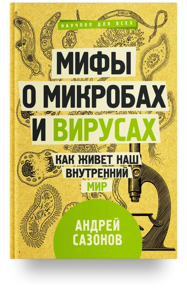 Мифы о микробах и вирусах: как живёт наш внутренний мир