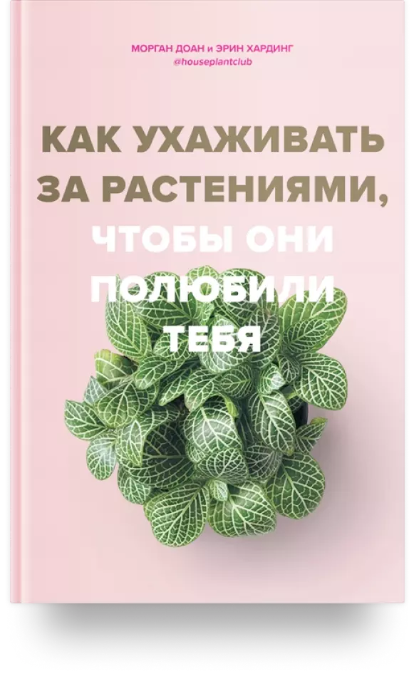 «Как ухаживать за растениями, чтобы они полюбили тебя»