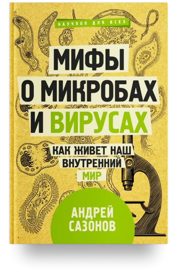 Мифы о микробах и вирусах: как живет наш внутренний мир