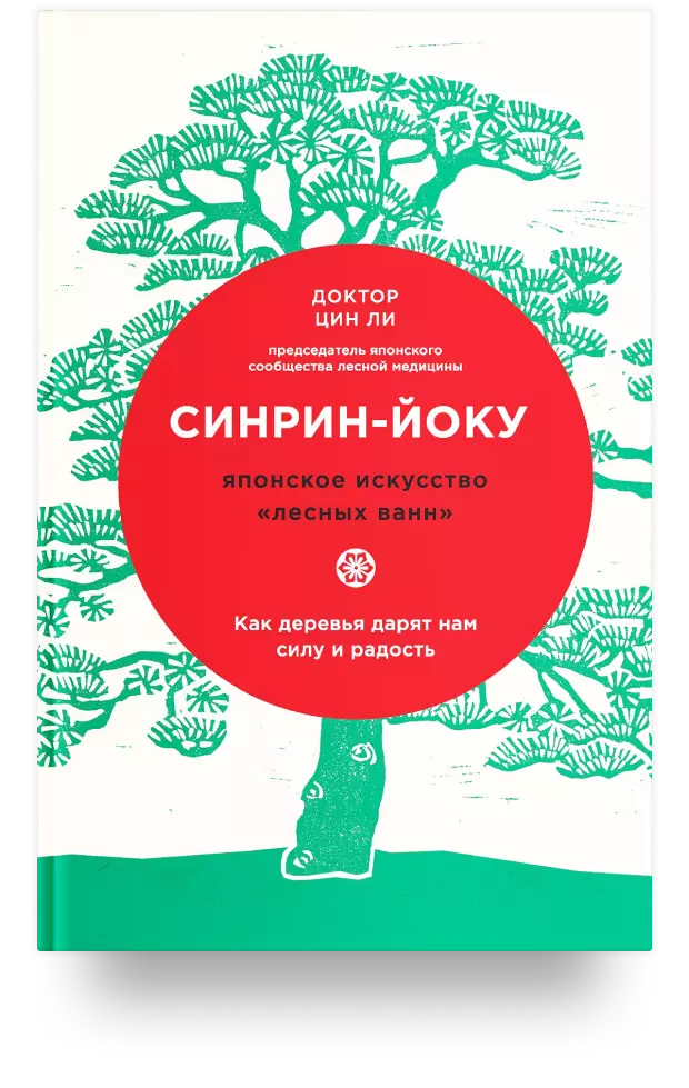 Синрин-йоку: японское искусство „лесных ванн“. Как деревья дарят нам силу и радость