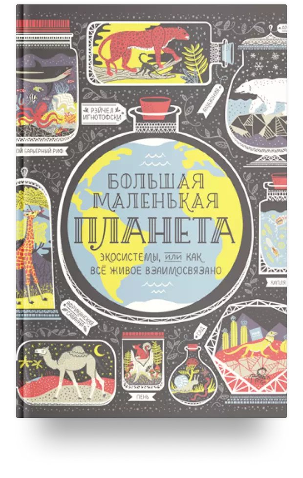 Большая маленькая планета. Экосистемы, или Как все живое взаимосвязано