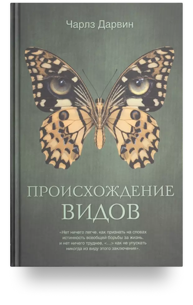 Натурализм, реализм и импрессионизм: сходства и различия | Тайны искусства | Дзен