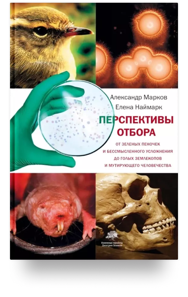 1. Перспективы отбора. От Зелёных пеночек и бессмысленного усложнения до голых землекопов и мутирующего человечества