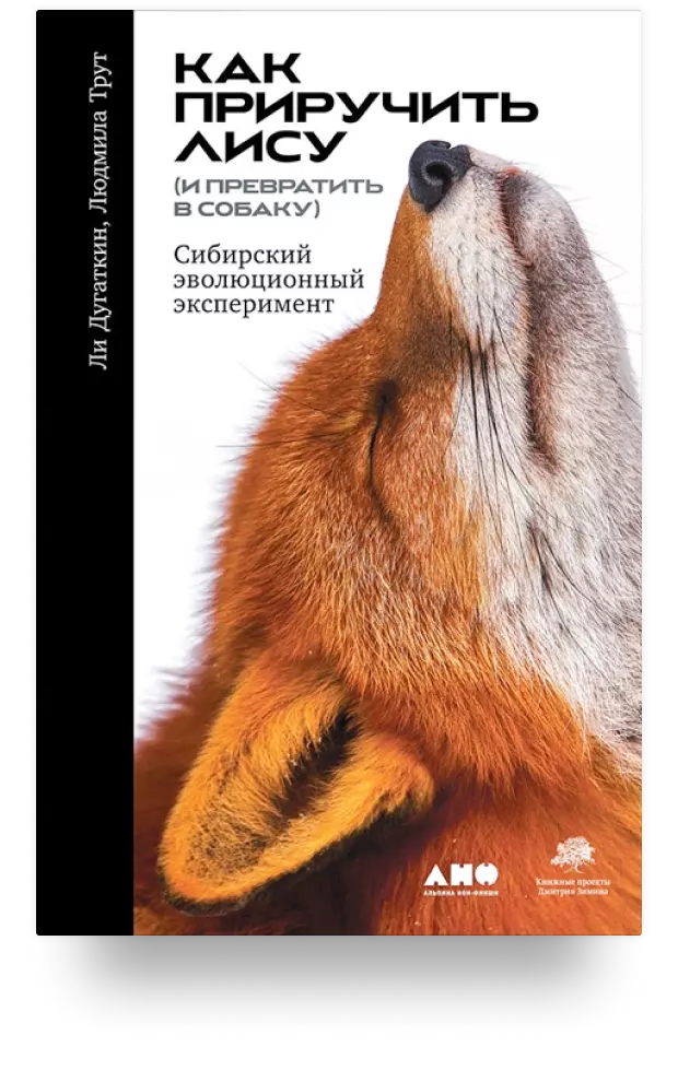 6. Как приручить лису (и превратить в собаку): Сибирский эволюционный эксперимент