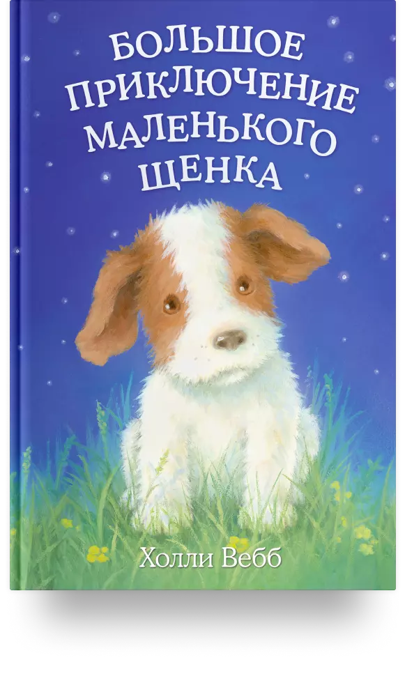 «Большое приключение маленького щенка»