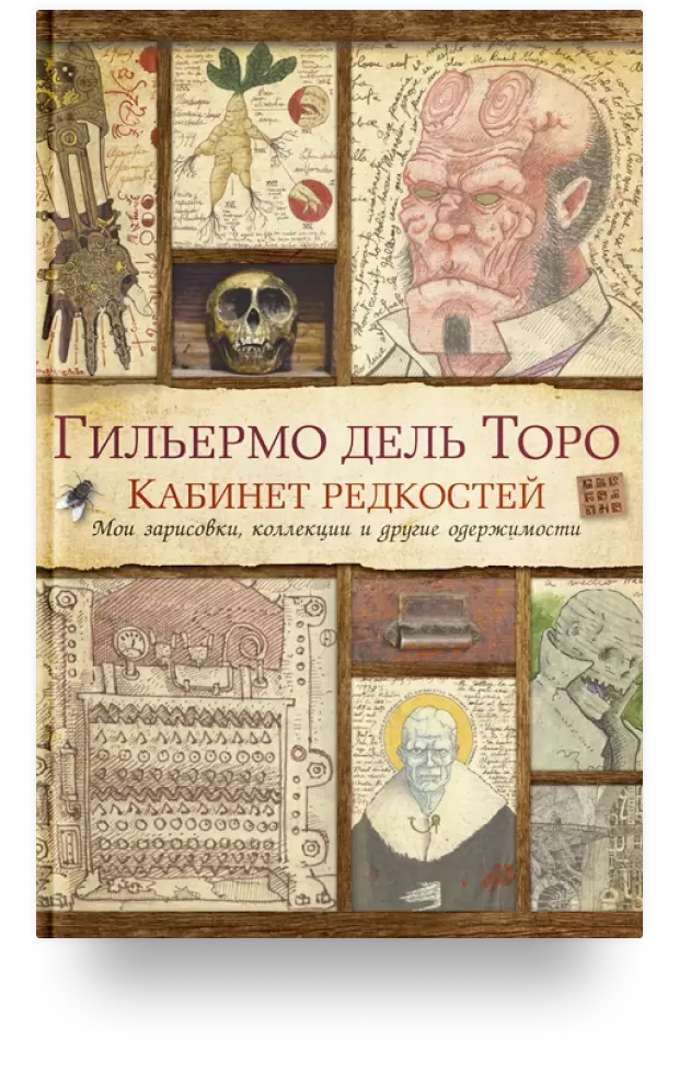 5. Кабинет редкостей. Мои зарисовки, коллекции и другие одержимости