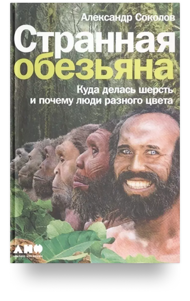 Странная обезьяна: Куда делась шерсть и почему люди разного цвета